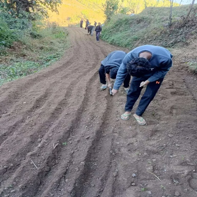 PGI Pithoragarh College BSc Agriculture 5th Semester Students Engage in Wheat Sowing at Field No. 2