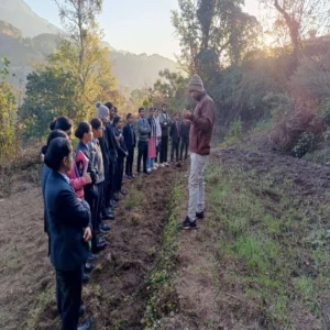 Identification of Crown Root Initiation in Wheat Crop by BSc Agriculture Students